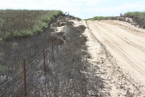 Property photo 81 - LAND AUCTION, 3255+/- Acres offered in 13 Tracts
